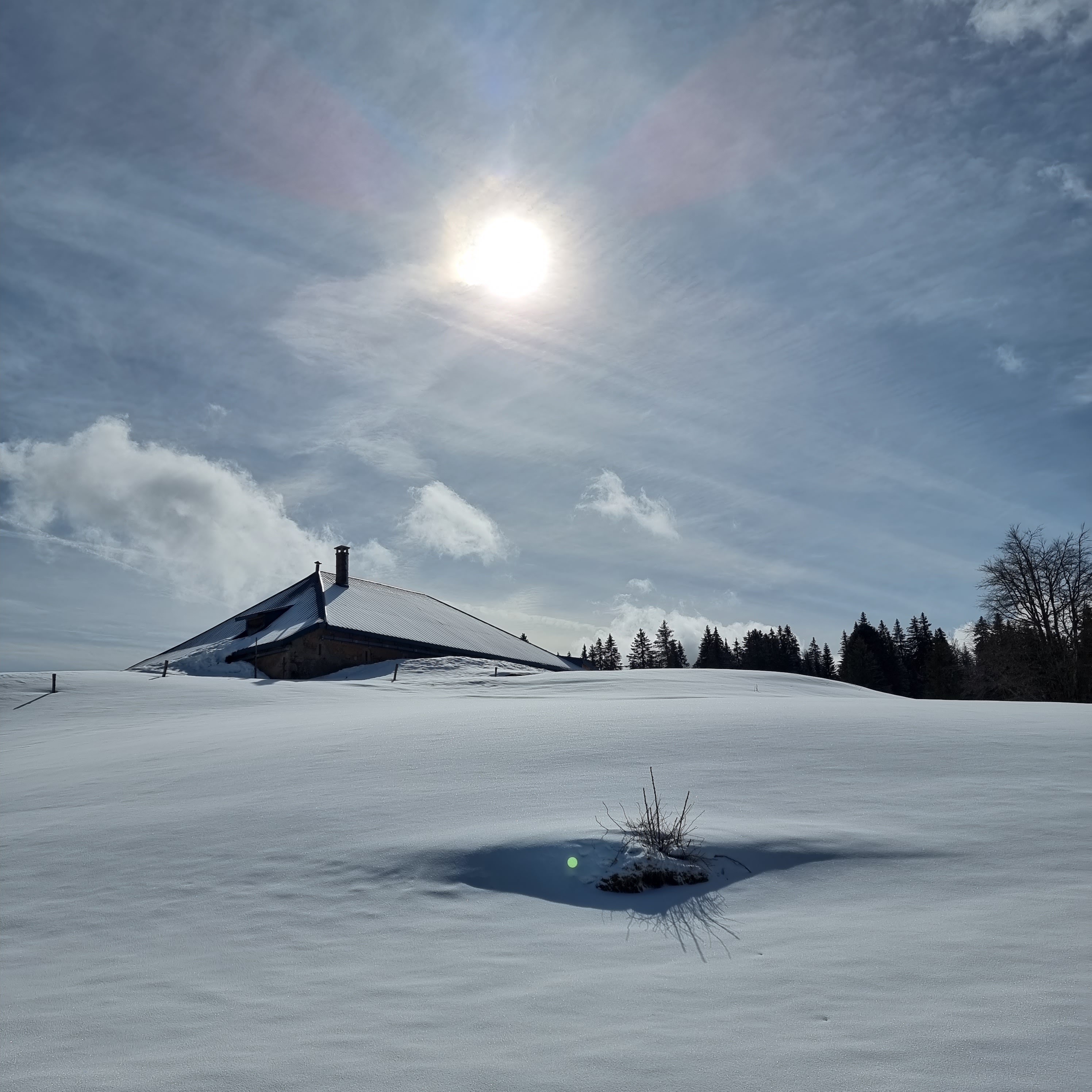 Photo n° 3 de l'avis de SCHWEITZER.a fait le 28/02/2022 à 18:12