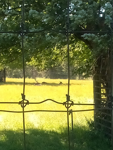 Park «Oxbow Park & Zollman Zoo», reviews and photos, 5731 County Rd 105 NW, Byron, MN 55920, USA