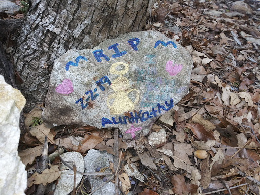 Cabin Rental Agency «Paluxy River Bed Cabins», reviews and photos, 1319 FM 205, Glen Rose, TX 76043, USA