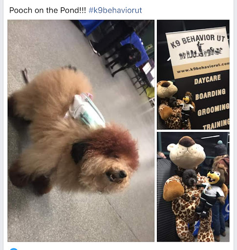 Dog Day Care Center «K9 Behavior UT, LLC», reviews and photos, 1458 Main St, Salt Lake City, UT 84115, USA