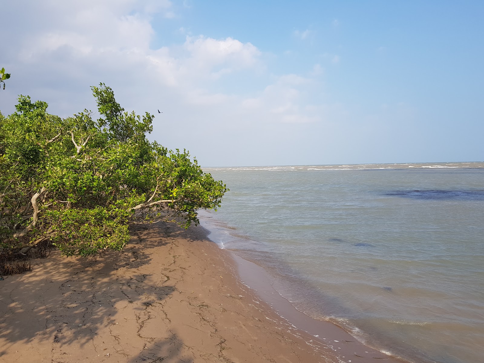 Photo de Rajamadam Beach zone sauvage