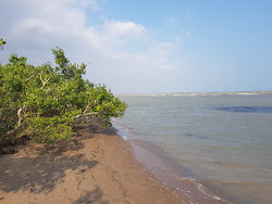 Zdjęcie Rajamadam Beach dziki obszar
