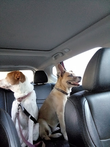 3716 J.F.K. Blvd, North Little Rock, AR 72116, USA