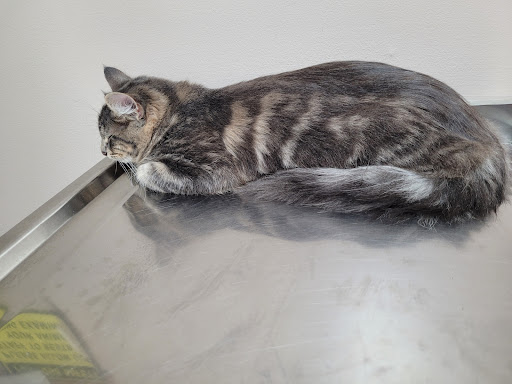 3110 E Wabash St, Frankfort, IN 46041, USA