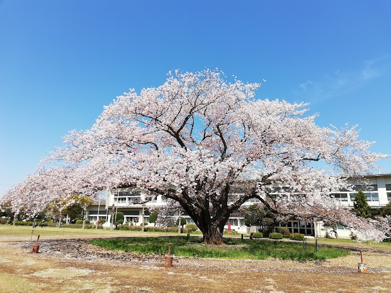 成田市 十余三運動施設