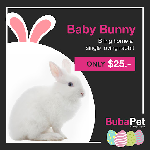 BubaPet - Pet Store