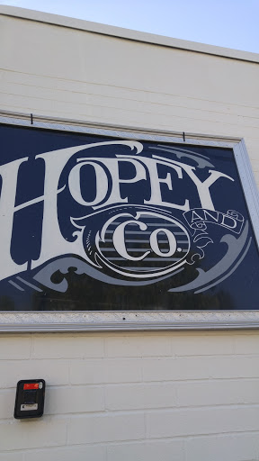Grocery Store «Hopey and Co.», reviews and photos, 45 S French Broad Ave, Asheville, NC 28801, USA