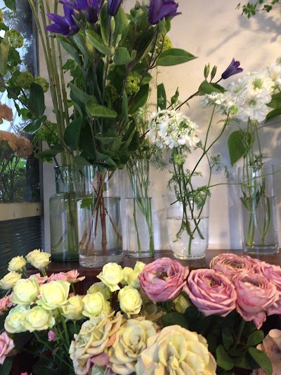 melaleuca_fleur
