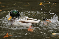 Michael Brinkley Photography - Photo 9 - Car repair in , Stamford