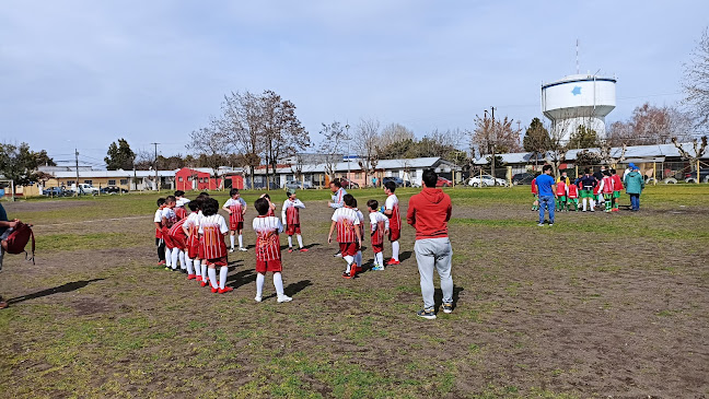 Cancha De Fútbol Población Purén