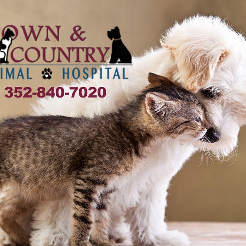 Town & Country Animal Hospital