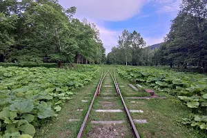 Old Horoka Station image