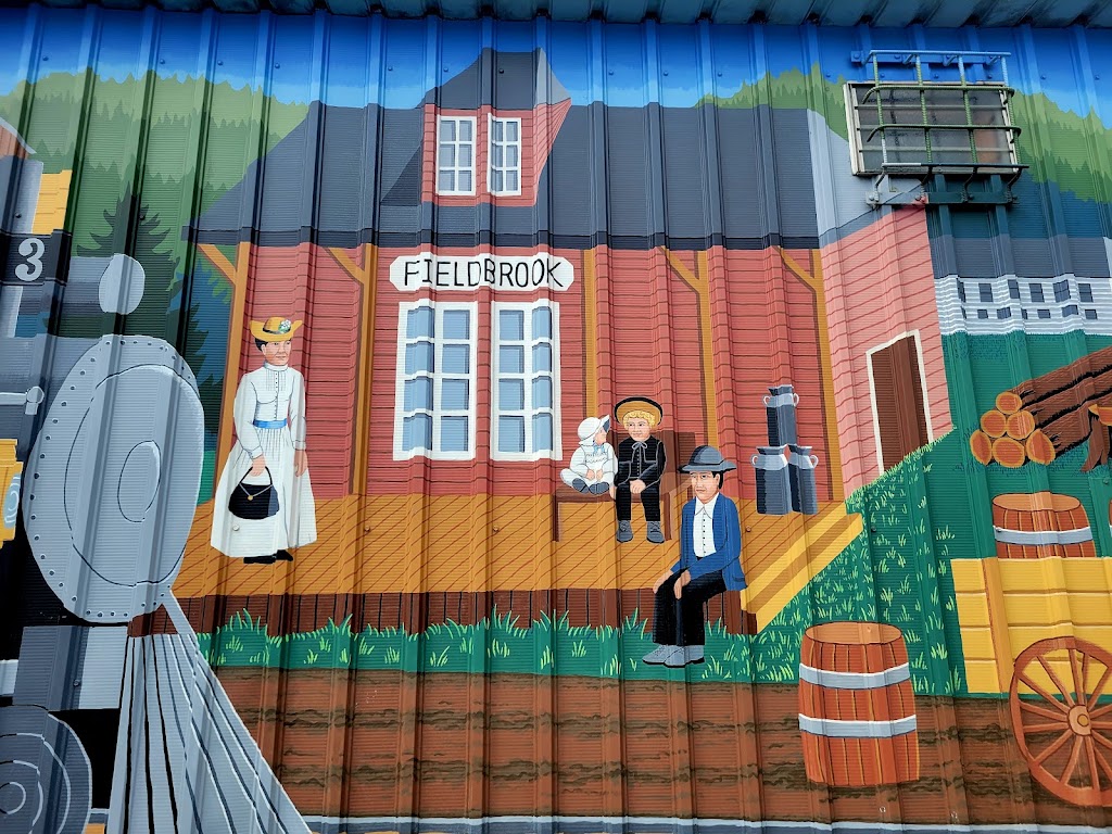 Fieldbrook Market & Eatery 95519