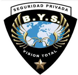 ByS Seguridad Spa