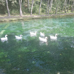 Photo n°5 de l'avis de Fra.o fait le 21/12/2023 à 16:14 sur le  Parco del Grassano à San Salvatore Telesino