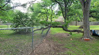 Olvera Tree and Yard Services - Photo 7 - Car repair in Waco, TX, Waco