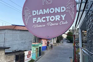 Diamond Factory image