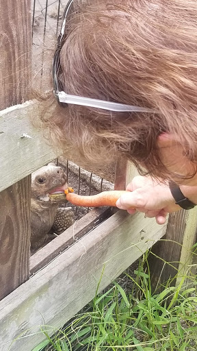 Animal Rescue Service «Nanny’s Educational Zoo And Rescue», reviews and photos, 1139 Livingston Rd, Lutz, FL 33559, USA