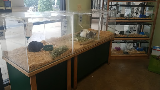 Pet Store «Pet Works», reviews and photos, 999 E Basse Rd #129, San Antonio, TX 78209, USA