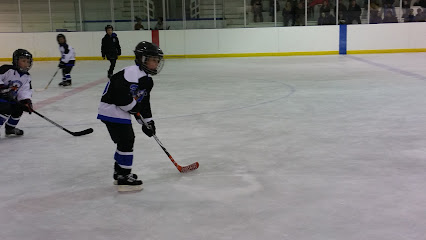 Delburne Minor Hockey