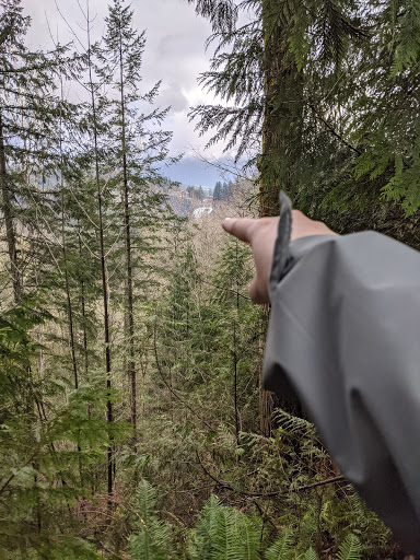 Tourist Attraction «Preston-Snoqualmie Trail Head parking», reviews and photos, Preston-Snoqualmie Trail, Fall City, WA 98024, USA