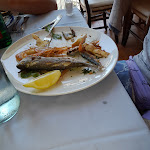 Photo n°14 de l'avis de Paola.u fait le 14/07/2022 à 23:21 sur le  Albergo La Certosa Ristorante da Pappone à Marina del Cantone