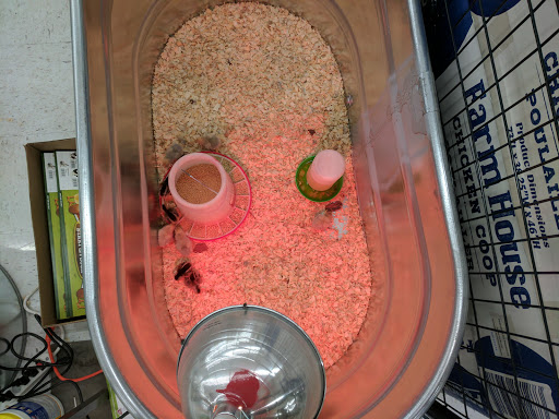 Home Improvement Store «Tractor Supply Co.», reviews and photos, 4377 Genesee Valley Plaza Rd, Geneseo, NY 14454, USA