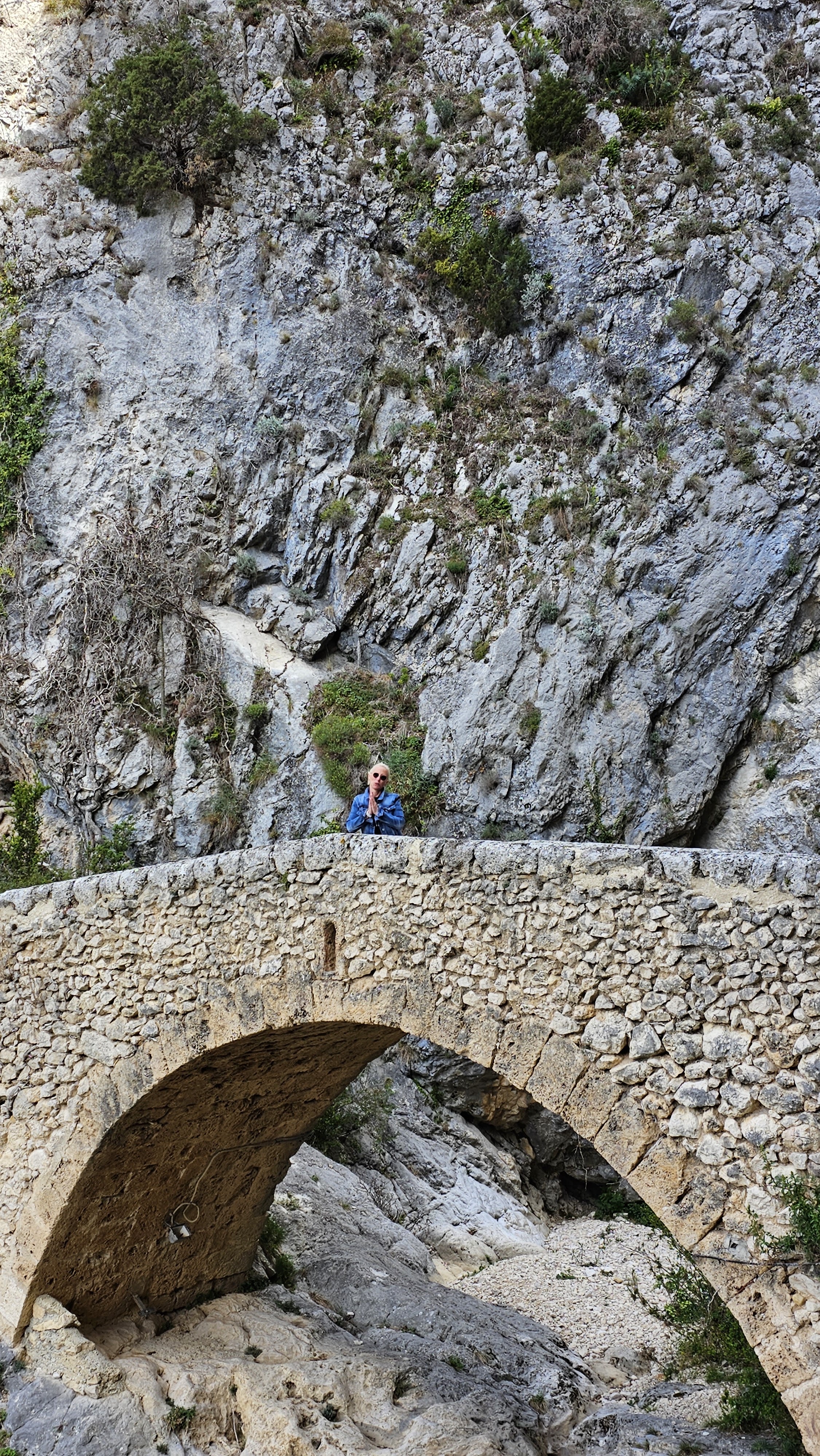 Photo n° 27 de l'avis de Bruiser.� fait le 13/04/2023 à 06:04