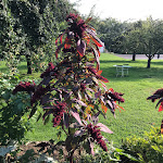 Photo n°4 de l'avis de Jeffrey.. fait le 12/09/2018 à 07:34 sur le  Evangelische Familienerholung Sulzbürg gGmbH à Mühlhausen