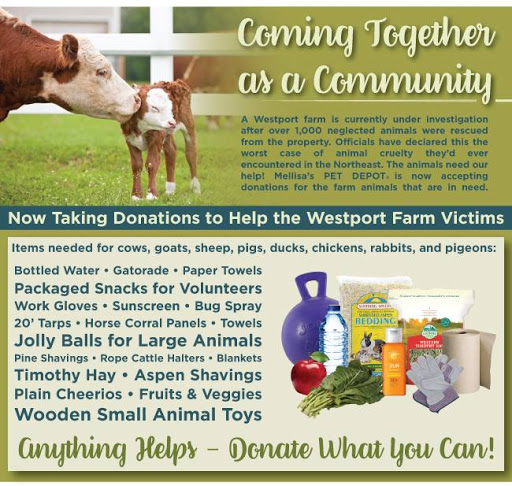 Pet Supply Store «Mellisa’s PET DEPOT», reviews and photos, 83 Faunce Corner Mall Rd, Dartmouth, MA 02747, USA