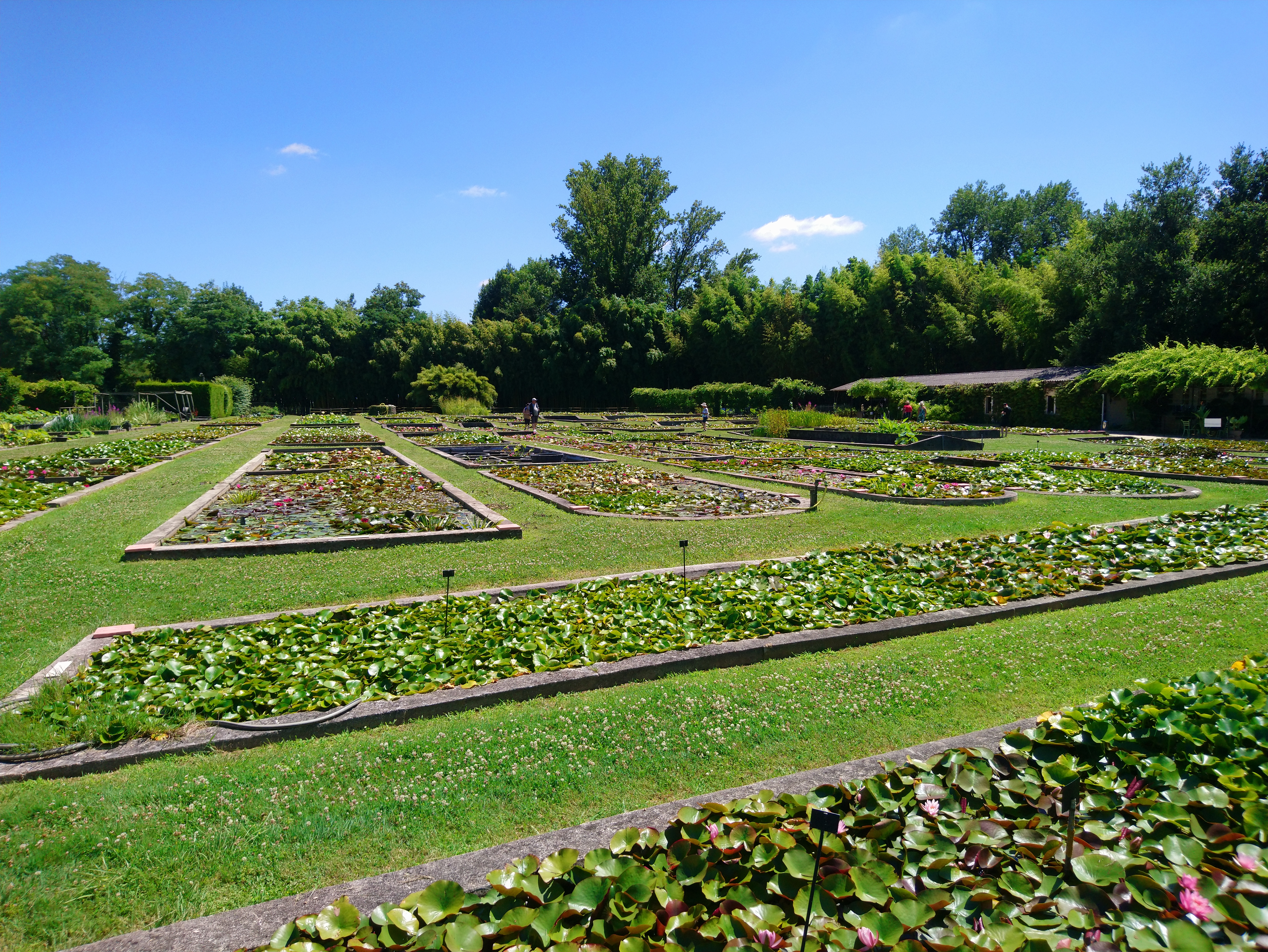 Photo n° 2 de l'avis de Denis.a fait le 18/07/2021 à 07:27