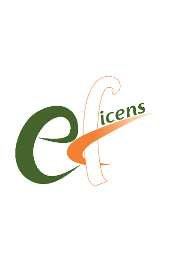Eficens Systems LLC
