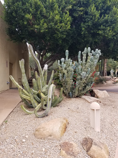 Spa «Spa At Camelback Inn», reviews and photos, 5402 E Lincoln Dr, Scottsdale, AZ 85253, USA