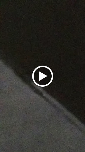 Dollar Store «FAMILY DOLLAR», reviews and photos, 725 E 2nd St, Muscatine, IA 52761, USA