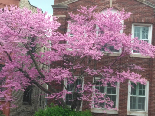 Park «Horner Park», reviews and photos, 2741 W Montrose Ave, Chicago, IL 60618, USA