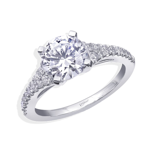 Jewelry Store «Van Scoy Jewelers», reviews and photos, 2733 Paper Mill Rd, Wyomissing, PA 19610, USA