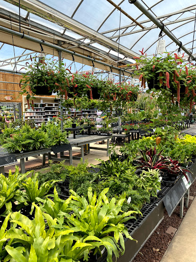 Garden Center «Stauffers of Kissel Hill Home & Garden Store», reviews and photos, 4450 Lincoln Hwy, York, PA 17406, USA