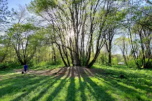 Willamette Disc Golf Course, 18 holes image