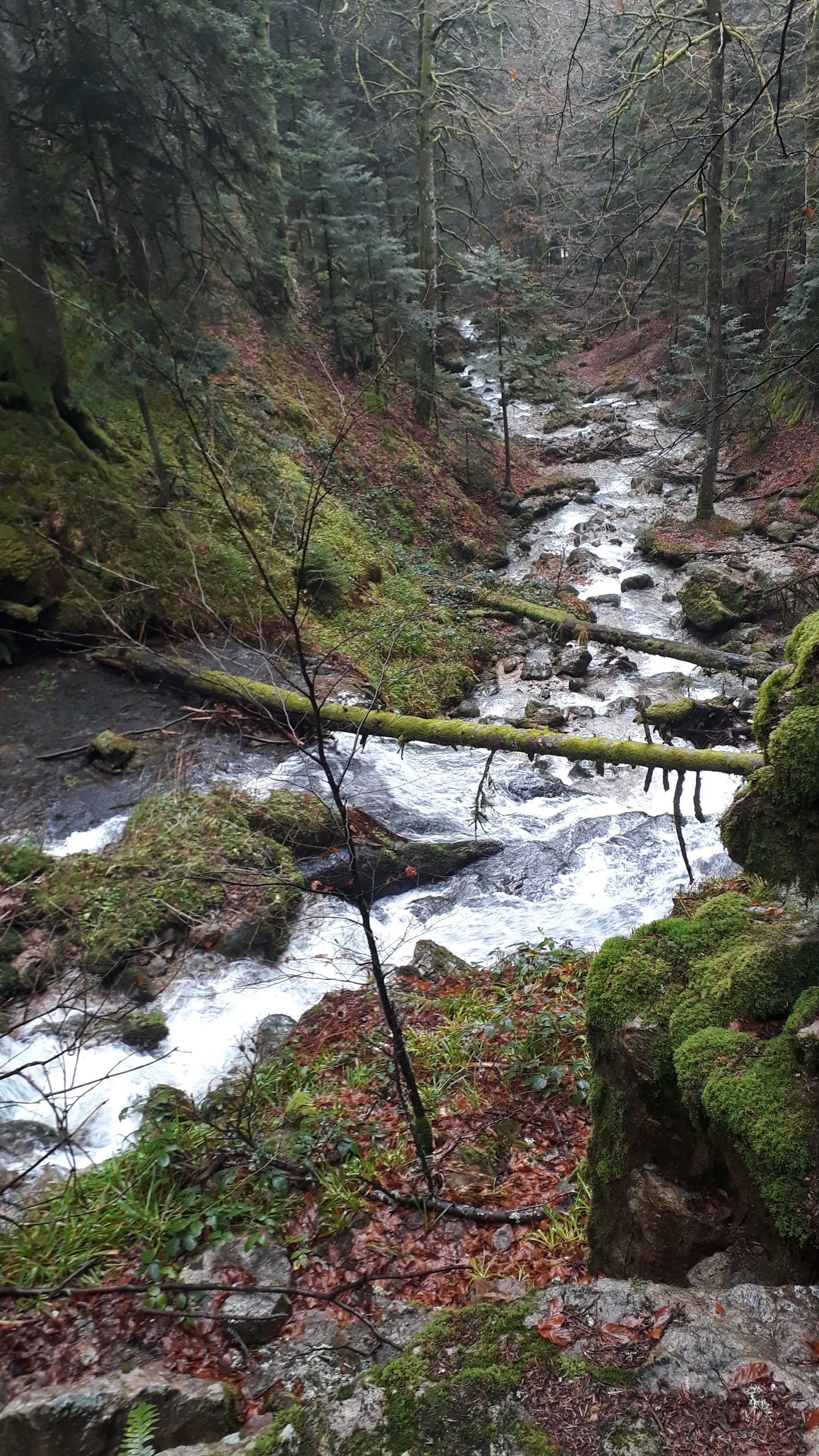 Photo n° 2 de l'avis de David. fait le 10/01/2019 à 11:41