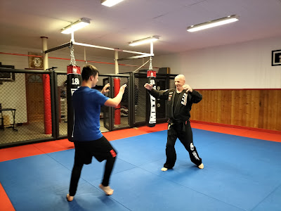 Dojo Forence Rollin à Trinay