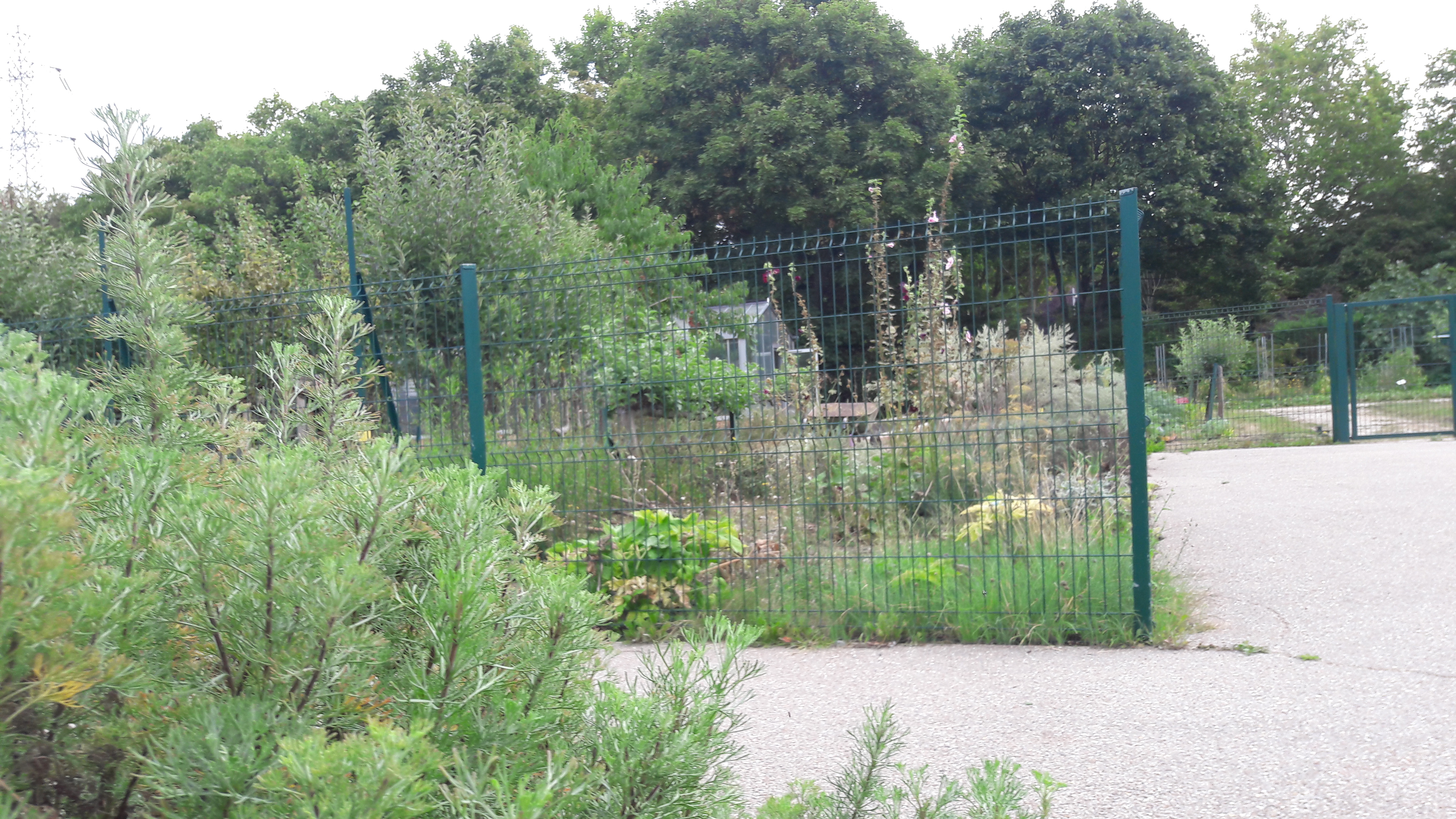 Photo n° 2 de l'avis de Sabrina.a fait le 25/08/2017 à 21:07