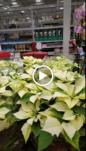 Lowes Home Improvement image