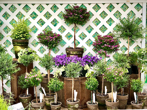 Florist «Victor Hlavacek Florist», reviews and photos, 746 Green Bay Rd, Winnetka, IL 60093, USA