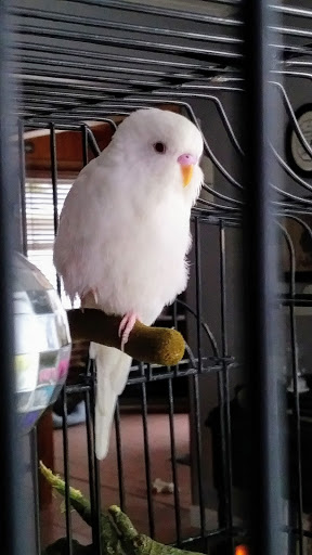 Pet Supply Store «PetSmart», reviews and photos, 2 Brick Plaza, Brick, NJ 08723, USA