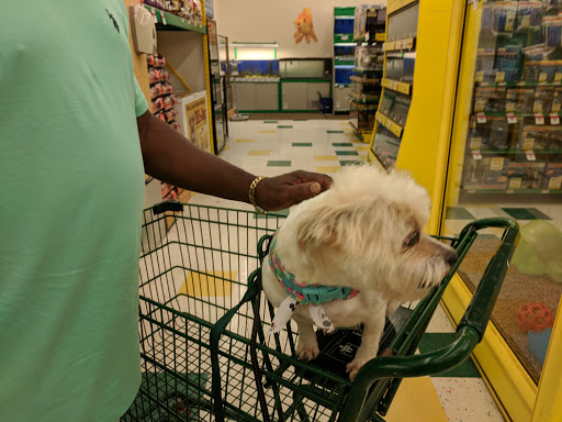 Pet Supply Store «Pet Supplies Plus», reviews and photos, 4808 Ridge Rd, Brooklyn, OH 44144, USA
