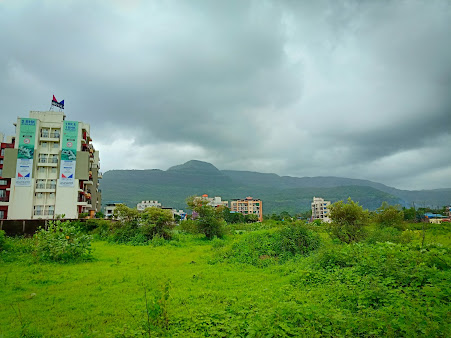 Google Maps image 15