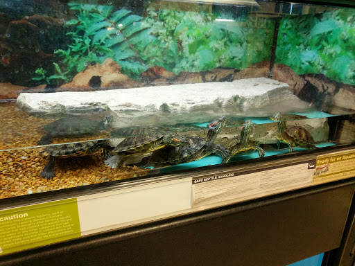 Pet Supply Store «Petco Animal Supplies», reviews and photos, 516 Valley Mall Pkwy, East Wenatchee, WA 98802, USA