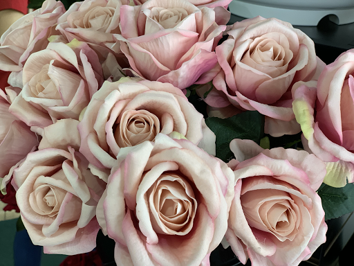 Dollar Store «Dollar City», reviews and photos, 17255 Farm to Market Rd 529, Houston, TX 77095, USA