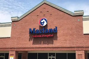 Macland Animal Hospital image