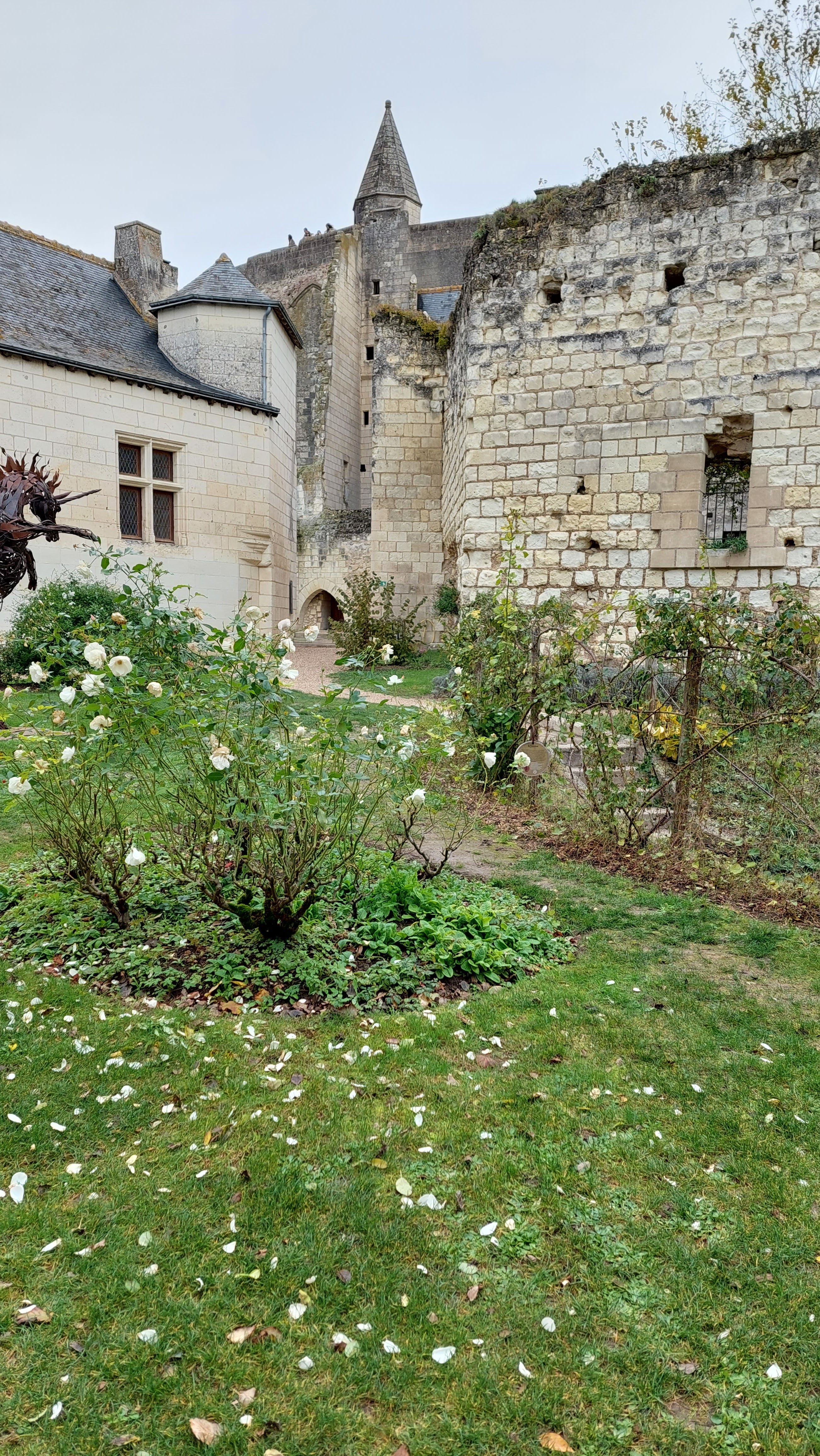 Photo n° 20 de l'avis de Florence.a fait le 12/11/2023 à 14:07